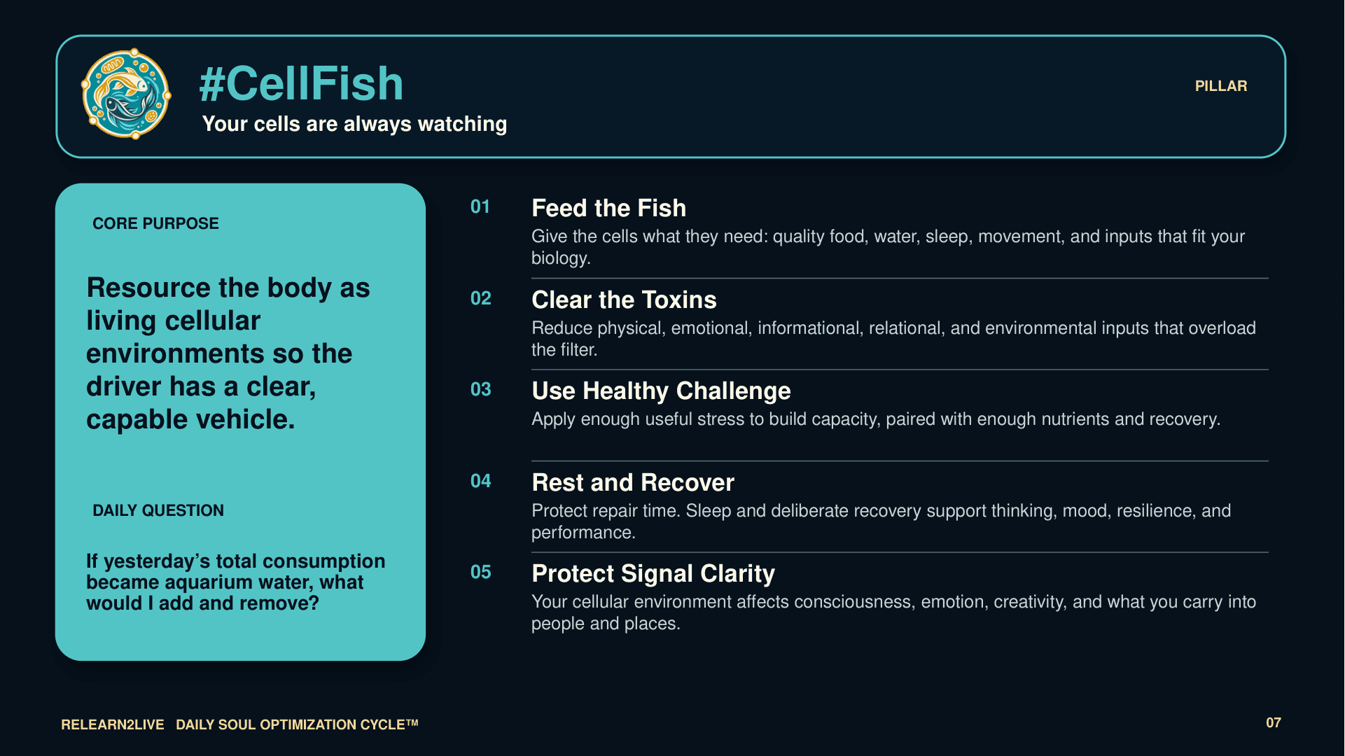 Teaching map for #CellFish: resource the body as living cellular environments so the driver has a capable vehicle.